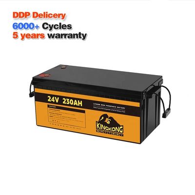 24V 50Ah 60Ah 100Ah 200Ah 230Ah 300Ah 400Ah 460Ah आयरन लिथियम LifePo4 बैटरी बीएमएस के साथ