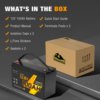 इलेक्ट्रिक बोट लाइफपो4 बैटरी पैक 12V 24V