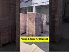 1x एसी शुद्ध साइन वेव आउटपुट सोलर पावर सप्लाई फ्लैशलाइट और लिथियम आयन बैटरी के साथ