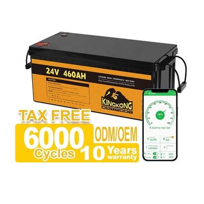 24V 50Ah 60Ah 100Ah 200Ah 230Ah 300Ah 400Ah 460Ah आयरन लिथियम LifePo4 बैटरी बीएमएस के साथ